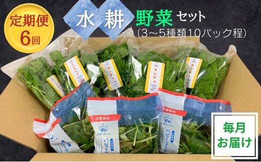 [№5359-0018]【定期便6回】毎月お届け 水耕野菜セット（3～5種類10パック程）