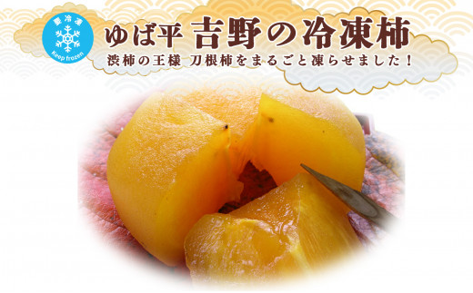 ゆば平 吉野の冷凍柿  10個  | フルーツ くだもの 果物 柿 かき カキ 冷凍柿  奈良県 五條市 西吉野産 渋柿の王様 刀根柿 まるごと 冷凍 11月 順次発送 旬 おいしい 凝縮 スイーツ ジューシー やわらかい ほどよい甘さ 甘い デザート 種なし たねなし タネなし 秋 お取り寄せ グルメ 送料無料 まろやか 冷たい 保存 果実