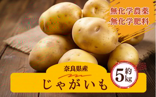 生命の農法( 無化学農薬 ・ 無化学肥料栽培 ) じゃがいも ( 5kg )|ヤサイ 野菜 やさい 根菜 いも 芋 イモ ポテト ジャガイモ 奈良県 五條市 有機 農法  無 化学 農薬 バーベキュー 料理 保存 スープ サラダ 肉じゃが じゃがバター 人気 送料無料 青果 安心 安全 味噌汁 国産 新鮮 常備菜 アレンジ 旬  常温 産地直送 慈光会自然食品販売所 お取り寄せ