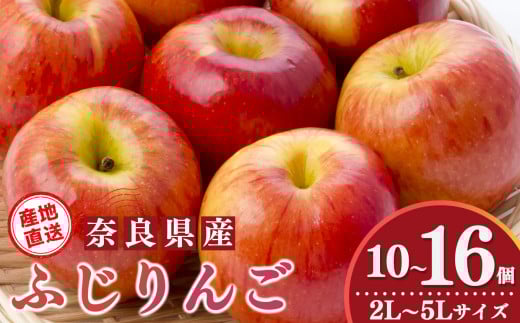 ふじりんご 10個 ~ 16個 2L ~ 5L サイズ |フルーツ くだもの 果物 りんご 林檎 リンゴ アップル 奈良県 五條市 デザート 果実 人気 送料無料 青果  国産 新鮮 旬 常温 産地直送 農家直送 杉原農園 12月 1月 2月 順次発送 甘い 酸味 自慢 お取り寄せ グルメ 大容量 たっぷり どっさり 沢山 とれたて 味が濃い しっかり フレッシュ