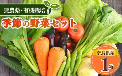 生命の農法 ( 無化学農薬 ・ 無化学肥料栽培 ) 季節 の 野菜 セット |  有機 農法 ヤサイ 野菜 やさい 詰め合わせ  無 化学 農薬 奈良県 五條市| バーベキュー 料理 保存 スープ サラダ 人気 送料無料 青果  安心安全 味噌汁 国産 新鮮 常備菜 アレンジ 旬 虫食い跡  キズ 傷 根菜 葉物 果物 冷蔵 産地直送 慈光会自然食品販売所