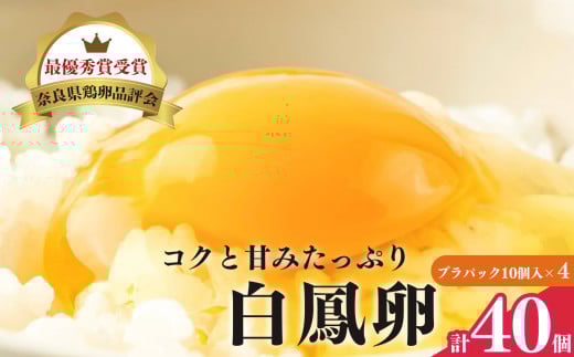 さかもと養鶏の白鳳卵:プラパック10個入り×4P | 卵 たまご 玉子 タマゴ 生たまご 生卵 白鳳卵 奈良県 五條市