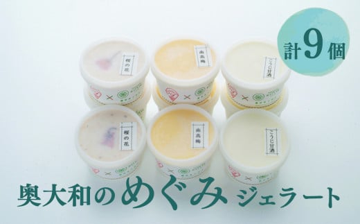 素材を生かした イタリア仕込み 奥大和のめぐみ ジェラート  ( 3種 ) 計9個 | 果実 かじつ カジツ 梅 うめ ウメ  奈良県 五條市 南高梅 こうじ甘酒 アイス お土産  奥大和お菓子 くだもの 果物  冷凍 ひんやり スイーツ おやつ アソート たっぷり 甘い デザート お取り寄せ 送料無料 有限会社 農悠舎 桜 桜の花 桜の塩漬け 南高梅 麹 甘酒 イタリア 和スイーツ 和風