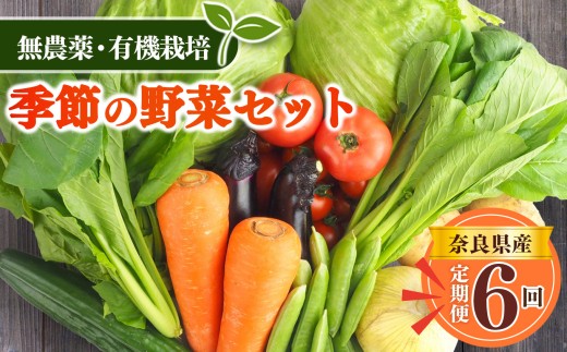 【 定期便 6回 】生命の農法( 無化学農薬 ・ 無化学肥料栽培 ) 季節 の 野菜 セット | 有機 農法 ヤサイ 野菜 やさい 詰め合わせ 無 化学 農薬 奈良県 五條市 バーベキュー 料理 保存 スープ サラダ 人気 送料無料 青果 安心安全 味噌汁 国産 新鮮 常備菜 アレンジ 旬 虫食い跡 キズ 傷 根菜 葉物 果物 冷蔵 産地直送 慈光会自然食品販売所 定期