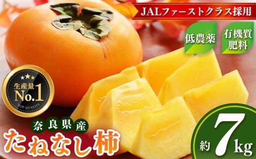 【 令和 7年分 先行 予約 】大人気 ！ JAL ファーストクラス 採用  たねなし 柿 約 7kg 箱 （ 24～30個入 ）  |  リピーター 多数 フルーツ 果物 くだもの かき カキ たねなし 種無し 種なし 奈良県 五條市 西岡農園 大容量 たっぷり 種なし 甘い 10月 11月 秋 旬 食物繊維 豊富 美容 健康 農家直送 産地直送 お取り寄せ グルメ 送料無料 低農薬 自宅用