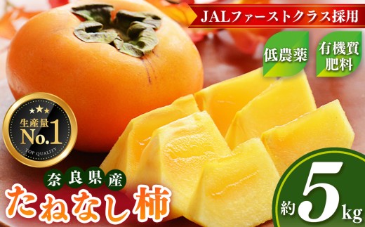 大人気 ！ JAL ファーストクラス 採用  たねなし 柿 約 5kg 箱 （ 18～24個入 ）  |  リピーター 多数 フルーツ 果物 くだもの かき カキ たねなし 種無し 種なし 奈良県 五條市 西岡農園 大容量 たっぷり 種なし 甘い 10月 11月 秋 旬 食物繊維 豊富 美容 健康 農家直送 産地直送 お取り寄せ グルメ 送料無料 低農薬 自宅用