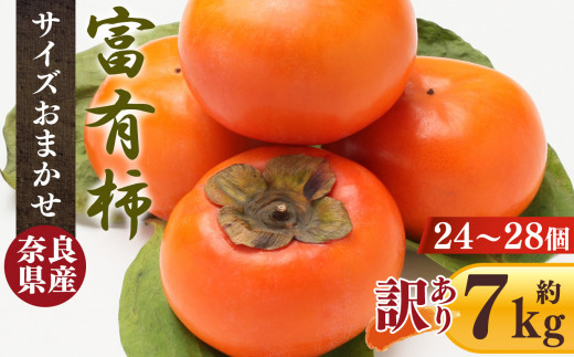 【 訳あり 】 富有柿 7.0kg 箱 サイズおまかせ( 24個 ~ 28個 ) | フルーツ くだもの 果物 柿 かき カキ 奈良県 五條市 果実 11月 12月 発送 秋 旬 味覚 グルメ お取り寄せ 送料無料 大容量 農家直送 産地直送 ビタミン タンニン 食物繊維 豊富 美容 健康 熊代農園 特産品 多汁 甘い 柔らかい ジューシー 甘柿 訳アリ わけあり
