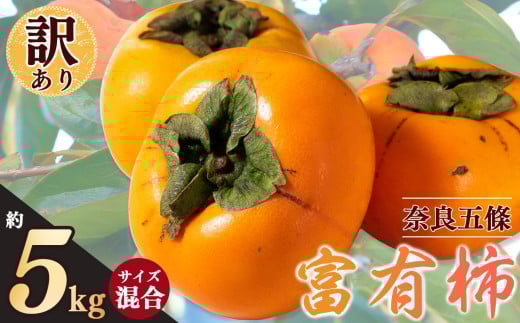 訳あり 富有柿 約 5kg サイズおまかせ | フルーツ くだもの 果物 柿 かき カキ 奈良県 五條市 柿の王様 わけあり 訳アリ フルーツ 果実 食感 こだわり 11月 秋 旬 味覚 グルメ お取り寄せ 送料無料 LIP~幸せいちご園~ 大容量 農家直送 産地直送 ビタミン タンニン 食物繊維 豊富 美容 健康