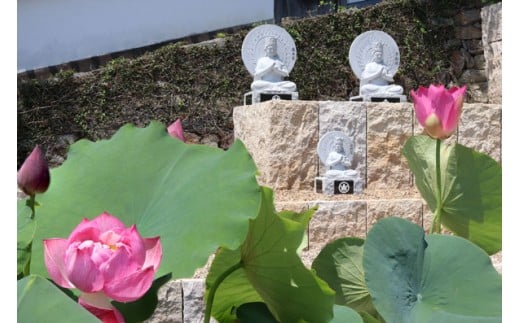 永代供養 (個人墓) | 永代供養墓 掃除 供養 墓じまい サービス 代行 お墓 奈良県 五條市