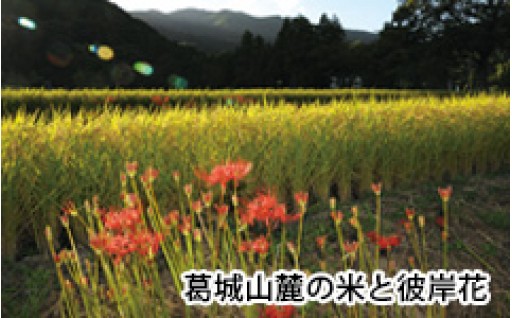 ①財政健全化のために