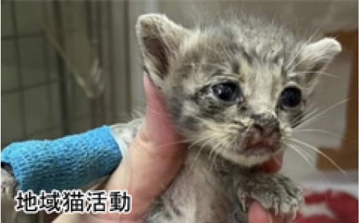 ⑤自然環境・生活環境の保全のために