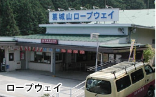 ⑥市長におまかせ
