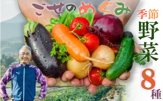 【冷蔵】(月曜日発送)季節のこだわり野菜セット / 奥野ファーム大和 季節野菜 有機肥料 奈良県 御所市