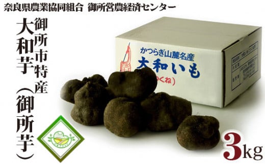 御所市 特産 大和芋 (御所芋) / 奈良県農業協同組合 いも 疲労回復 野菜 食物繊維 奈良県 御所市