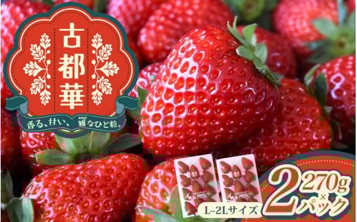 古都華 L~2Lサイズ 270g×2パック / 西田農園 ブランド いちご 苺 ことか フルーツ 果物 奈良県 葛城市【nsdf002】