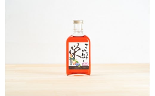 Jリーガー藤嶋栄介×pickles-ya(共同開発) ベリーのビネガードリンク (希釈用) やっしょうびねがー (2本セット) / SONAS コラボ商品 ブルーベリー 奈良県 葛城市【sona006】