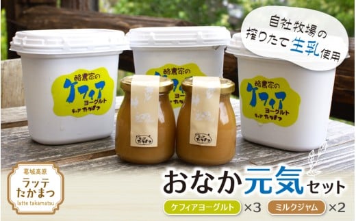 ラッテたかまつ おなか元気セット / 葛城 高原 牧場 ケフィア ヨーグルト ミルク ジャム【latt004】