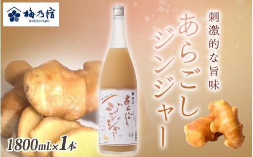 梅乃宿 あらごしジンジャー 1800ml / ジンジャー リキュール スパイシー 国産 すりおろし しょうが 爽やかな 香り 奈良県 葛城市【umyd017】