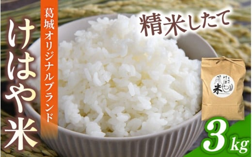 [先行受付]令和7年度産新米 けはや米 精米 3kg / 米 お米 白米 新米 精米 ひのひかり ヒノヒカリ 葛城市商工会青年部 奈良県 葛城市[nkss001]