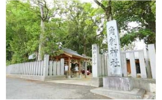 観光ボランティアガイドと歩く葛城市　イ　葛城市歴史博物館（半日）【kkvg002】