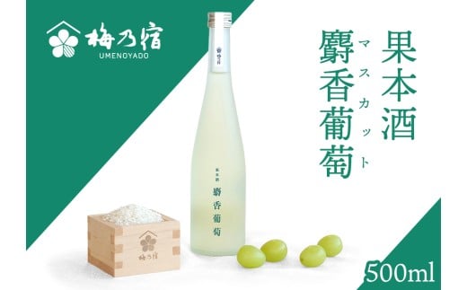 梅乃宿 果本酒 麝香葡萄(マスカット) 500ml/ 日本酒 フルーツ 果物 マスカット ぶどう 新感覚 お酒 純米大吟醸 贈り物 ギフト プレゼント フルーティー 【umyd043】