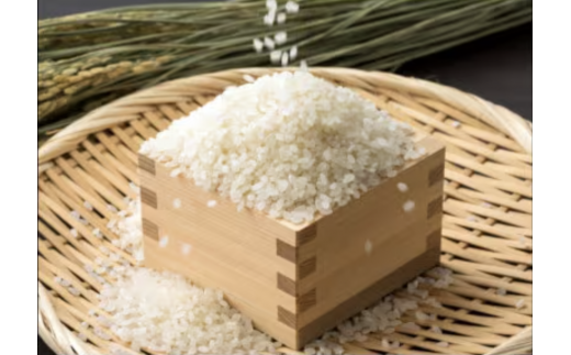 山添村産 一服米 コシヒカリ 3kg 精米