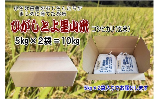 【令和7年産】ひがしとよ里山米 玄米10kg(5kg×2袋)