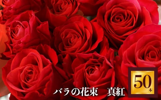 市場をはじめ愛好家から 高評価 バラ の 花束 ( 50本 ) 赤 | 花 薔薇 花束 ばら ローズ フラワー お花 レッド 新鮮 厳選 高品質 摘みたて こだわり 綺麗 平群のバラ 平群ブランド 誕生日 記念日 お祝い ギフト プレゼント ブランド 美しい 綺麗 HEGURI ROSE 奈良県 平群町