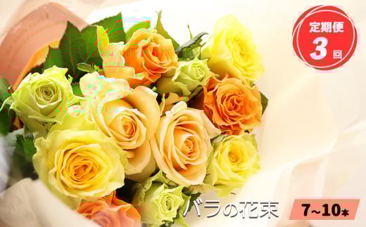 【 定期便 3回 】市場をはじめ愛好家から 高評価 バラ の 花束 ( 7~10本 )  ブーケ サイズ( 30cm 程度)  | 花 薔薇 花束 ばら ローズ フラワー お花  新鮮 厳選 高品質 摘みたて こだわり 綺麗 平群のバラ 平群ブランド 誕生日 記念日 お祝い ギフト プレゼント ブランド 美しい 綺麗 HEGURI ROSE 奈良県 平群町