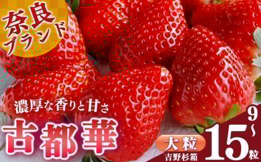 【 選べる 内容量 】贈答 平群 の 古都華 吉野杉 箱入り 大粒  9~15粒 阪野農園 | 先行予約 フルーツ 果物 くだもの ブランド いちご 苺 古都華 ことか 甘い 大人気 満足 希少 希少品種 ストロベリー 美味しい 品種 特徴 糖度 2月 3月 4月 5月 発送 旬 送料無料 濃厚 香り 果汁 味わい深い お取り寄せ 産地直送 農家直送 名産地 奈良県 平群 町