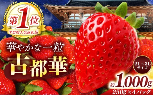 平群 の 古都華 約 1000g ( 4パック ) 2L ~ 3L サイズ | 先行予約 フルーツ 果物 くだもの ブランド いちご 苺 古都華 ことか 甘い 大人気 満足 希少 希少品種 ストロベリー 美味しい 品種 特徴 糖度 ルビー色 2月 3月 4月 発送 旬 送料無料 濃厚 香り 果汁 味わい深い お取り寄せ 産地直送 へぐり果実堂 名産地 奈良県 平群 町