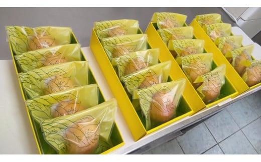 ケーキ工房菜の花 純朴レモンケーキ (5個入)