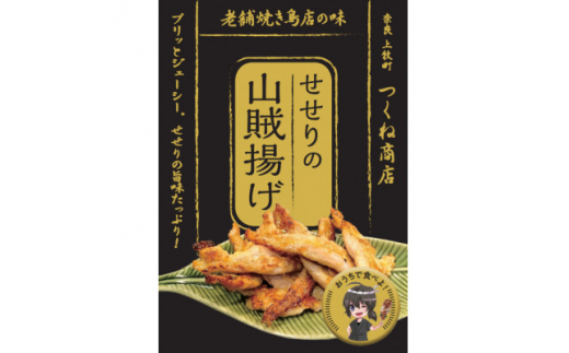 <老舗焼き鳥屋>鶏の希少部位を惜しげなく使用した大ヒットメニュー自信作の詰め合わせ 鶏大好きセット【1320586】
