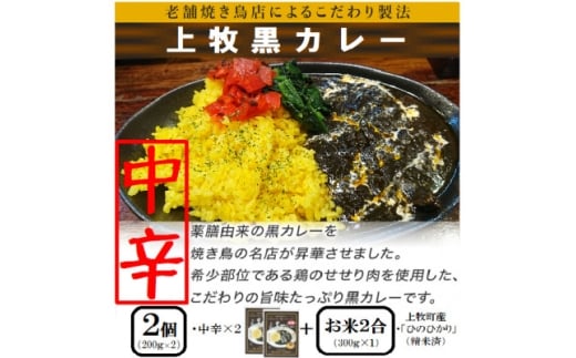 <ご当地カレー>上牧黒カレー(中辛)2個+地元米(ひのひかり)2合をセット【1439531】