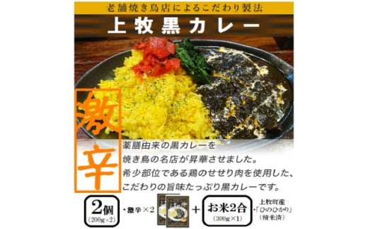 <ご当地カレー>上牧黒カレー(激辛)2個+地元米(ひのひかり)2合をセット【1446988】