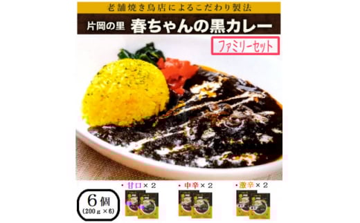 片岡の里春ちゃんの黒カレー ファミリーセット【1450883】