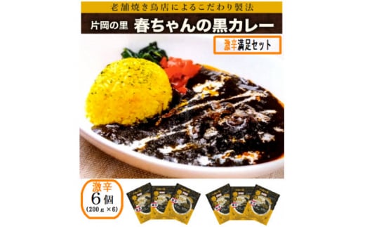 片岡の里春ちゃんの黒カレー 激辛満足セット【1466669】