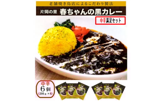 片岡の里春ちゃんの黒カレー 中辛満足セット【1466672】