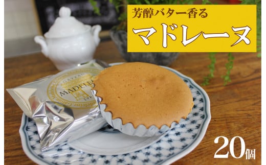 マドレーヌ 20個 10個入×2箱 セット 洋菓子 おやつ 焼き菓子 ギフト 贈り物 人気 厳選 おすすめ