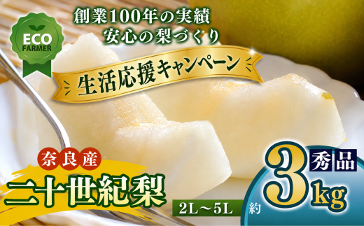 A17 【先行予約】 南陽園の二十世紀梨 おみやげ桜箱（約3kg） 2L～5L 【秀品】 | ≪数量限定≫ 梨園直送！ 期間限定 果物 くだもの フルーツ 農家直送 梨 ナシ なし シャキシャキ もぎたて 旬 お取り寄せ 二十世紀梨 奈良県 大淀町 ※9月10日頃より順次発送