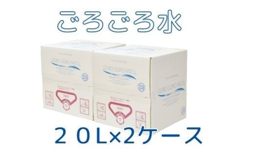 大峰山の超名水 ごろごろ水 20L×2ケース