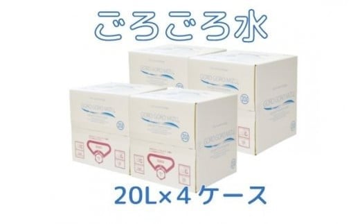大峰山の超名水 ごろごろ水 20L×4ケース