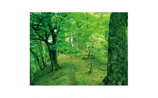 芳香蒸留水Aセット