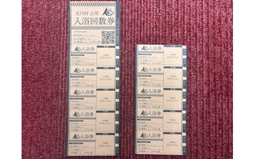 天川村日帰り入浴施設入浴券 10枚セット