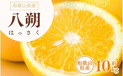 八朔(はっさく) 約10kg サイズおまかせ 紀伊国屋文左衛門本舗 ※2026年1月下旬~2026年4月上旬頃より順次発送予定【sgtb411B】