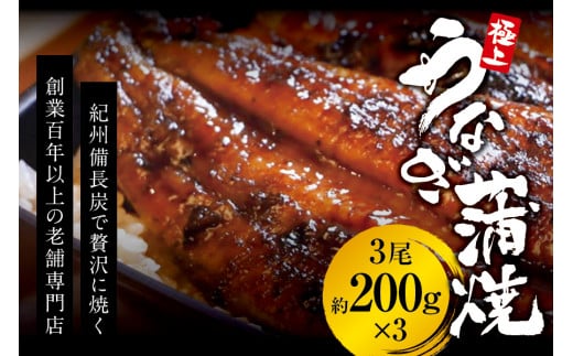 極上！国産うなぎ蒲焼 3尾（約200g×3） 創業100年以上続く老舗 紀州備長炭でじっくり焼き上げた専門店の味 （タレ・山椒付き）/ うなぎ ウナギ 鰻 蒲焼 国産 ふるさと納税【skr003A】