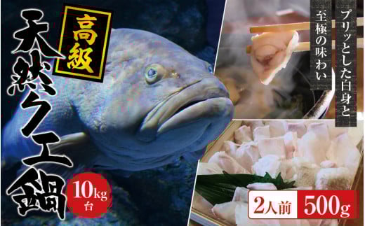 【冷凍】天然 高級クエ 10kg台  クエ鍋セット 2人前(250g×2) 【2025年11月下旬から2026年2月下旬までに順次発送致します。】 / 高級 海鮮 お魚 魚  くえ鍋 クエ鍋 くえ くえ天然 冷凍 海産物【tkw006-2】