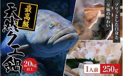 【冷蔵】天然 最高級クエ 20kg 以上  クエ鍋セット 1人前(250g×1) 【2025年11月下旬から2026年2月下旬までに順次発送致します。】 / 高級 海鮮 お魚 魚  くえ鍋 クエ鍋 くえ くえ天然 冷蔵 海産物【tkw009-1】