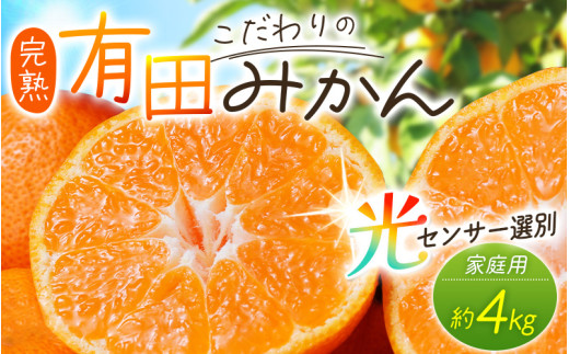 【2025年12月発送予約分】\光センサー選別/農家直送 こだわりの有田みかん 約4kg+250g(傷み補償分) 【ご家庭用】【12月発送】みかん ミカン 有田みかん 温州みかん 柑橘 有田 和歌山【nuk148-12A】