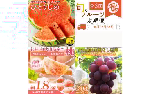 【全3回】紀州和歌山産旬のフルーツ定期便 (スイカ・桃・巨峰) / すいか スイカ もも 桃 白桃 巨峰 ぶどう 果物 くだもの フルーツ フルーツ定期便 和歌山【tkb420】